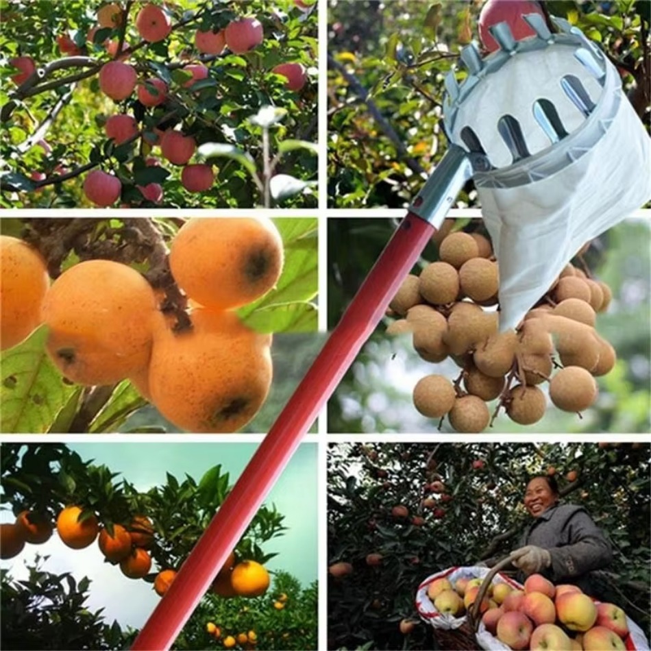 Farming Agriculture Tools - Raccoglitrice di frutta in ferro zincato