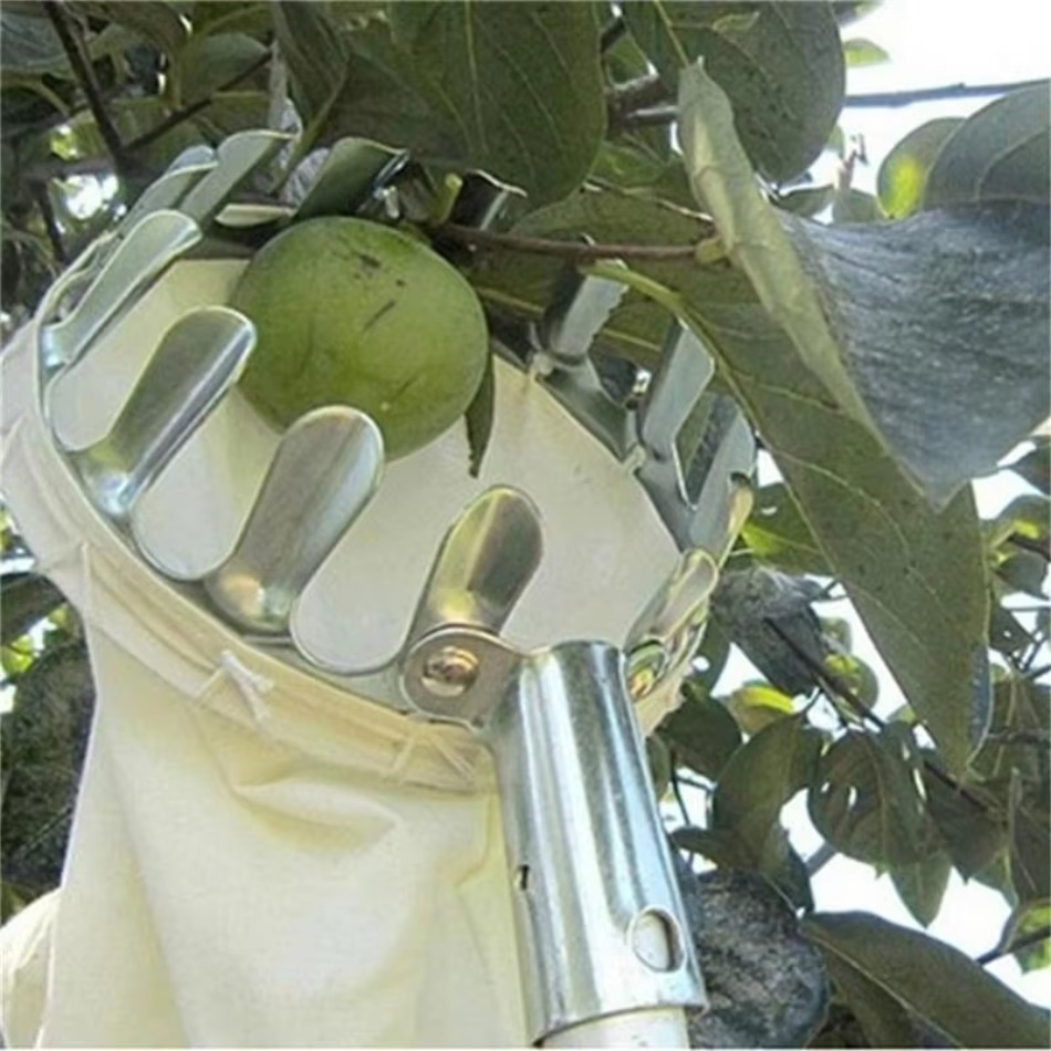 Raccoglitrice di frutta in fer - Farming Agriculture Tools recensione e prezzo