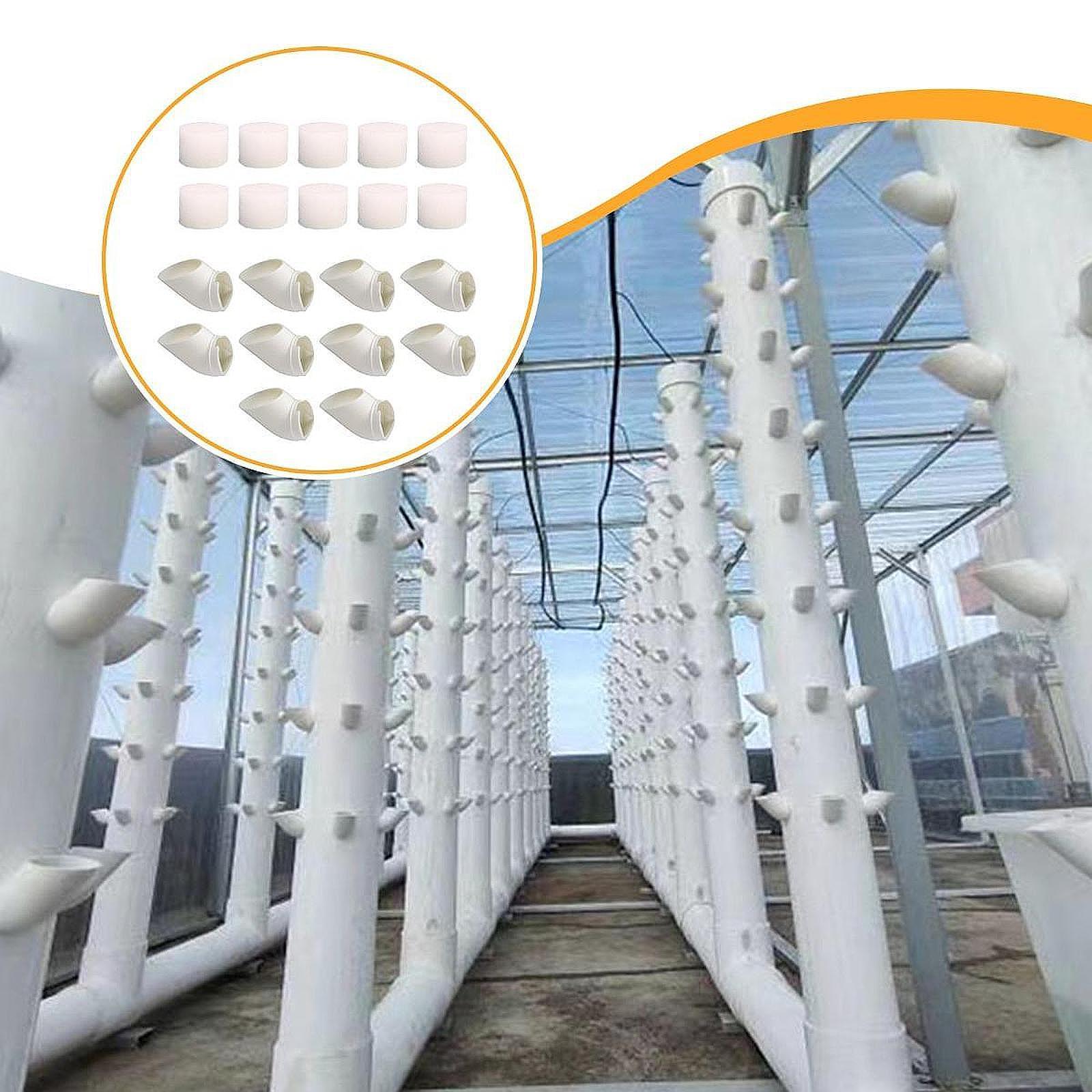 10 Pezzi di Coppette per la Co - Vegetable Transplanter recensione e prezzo
