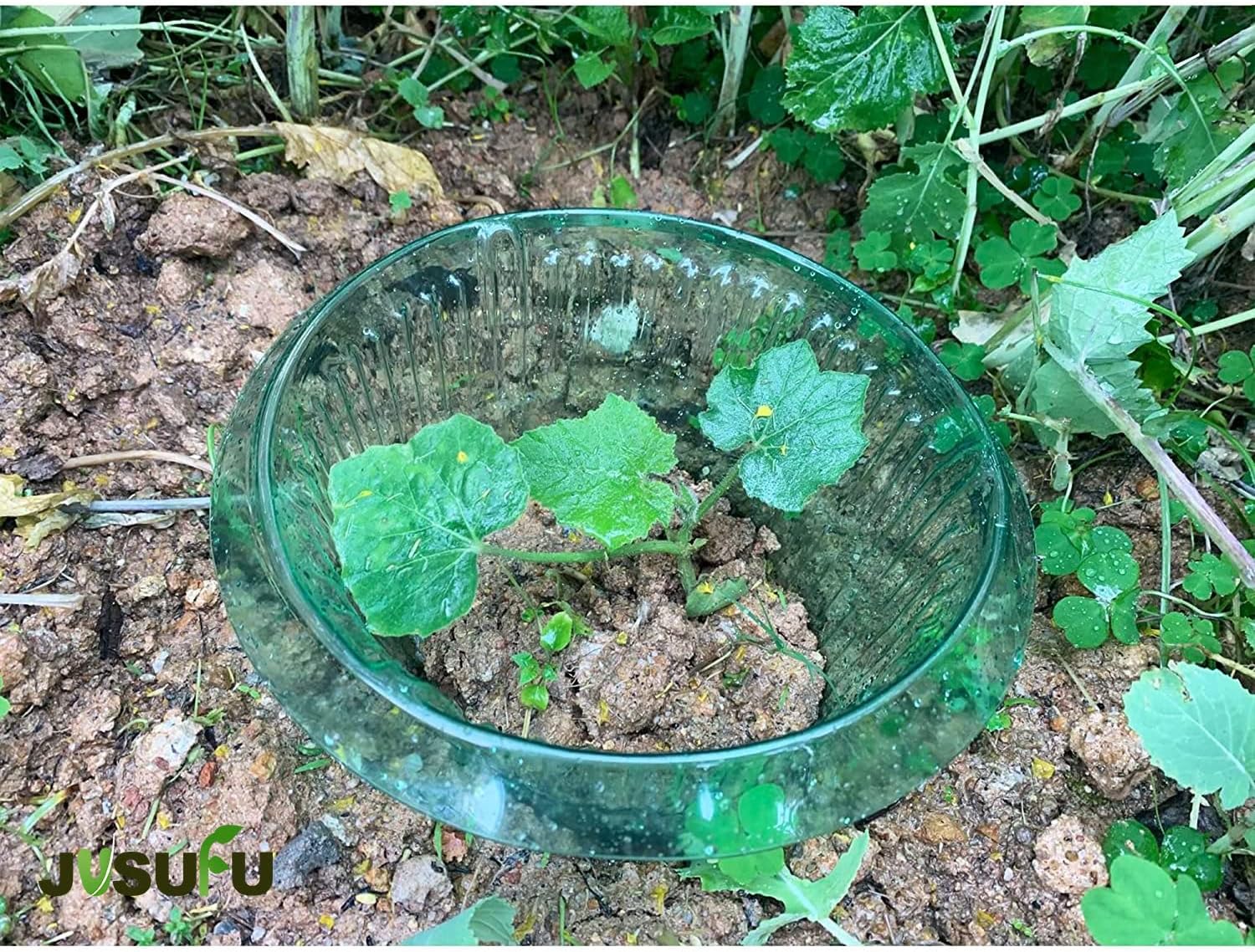 1/30 Pezzi Anelli di Protezion - Vegetable Transplanter recensione e prezzo