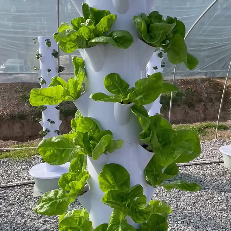 Con Led Coltiva La Luce Spazio - Vegetable Transplanter recensione e prezzo