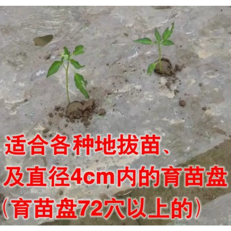 Trapiantatrice Agricola per Pi - Vegetable Transplanter recensione e prezzo