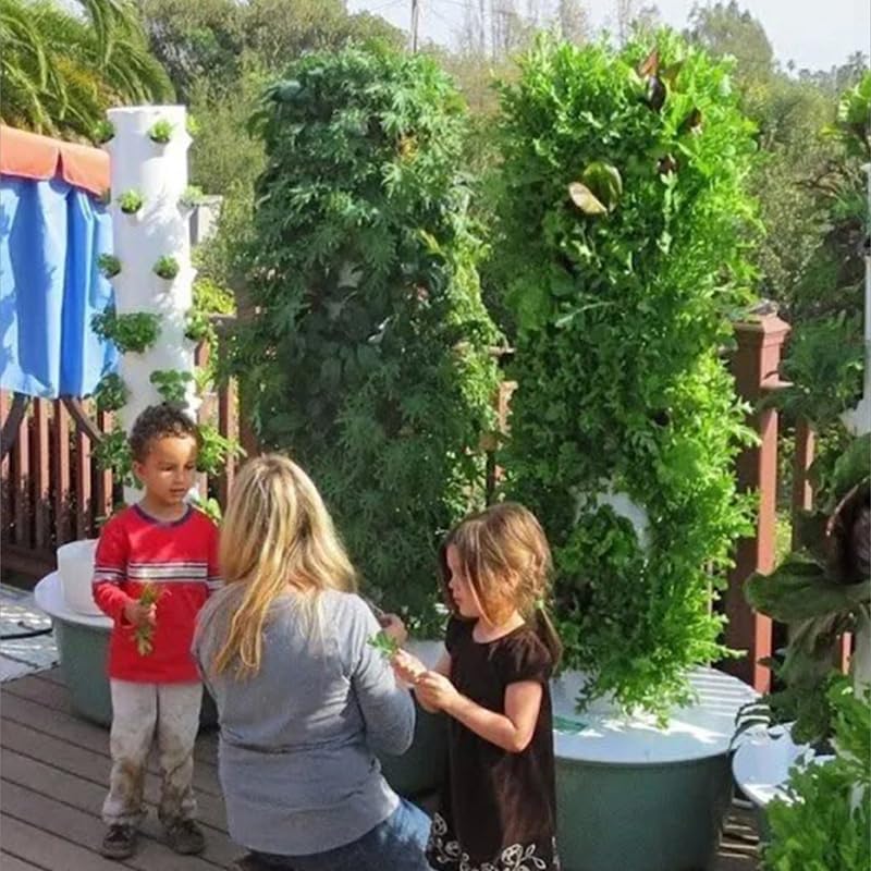 Torre di Coltivazione Idroponi - Vegetable Transplanter recensione e prezzo