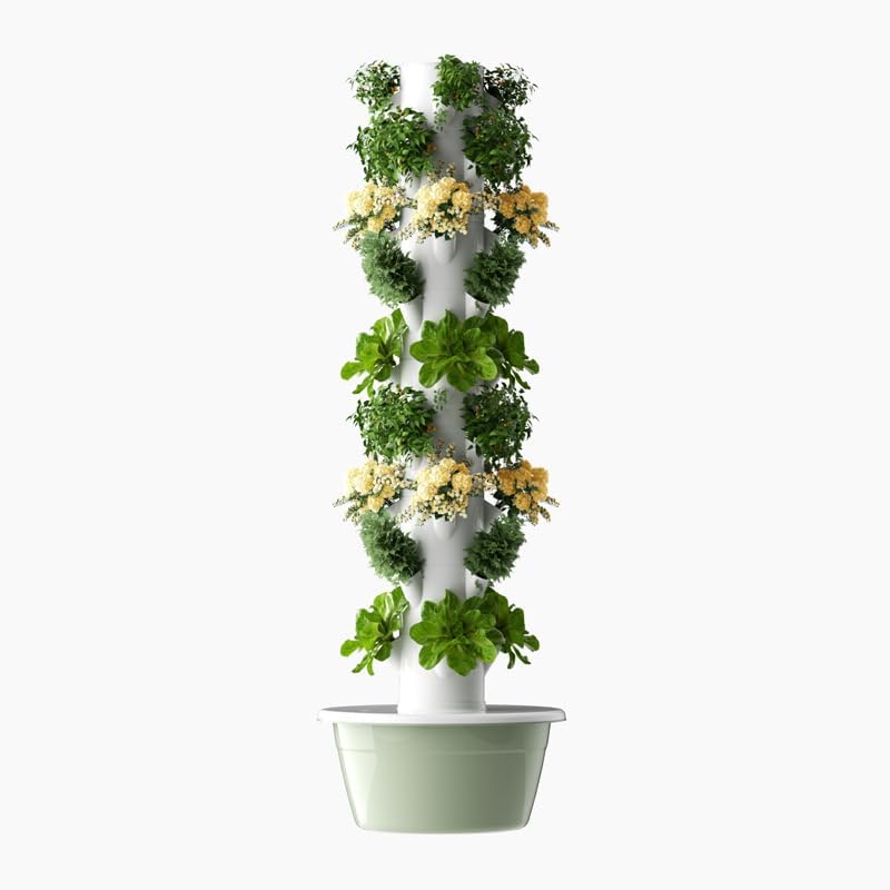 Torre di Coltivazione Idroponi - Vegetable Transplanter recensione e prezzo